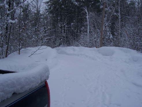 Looking back toward the entry of the driveway