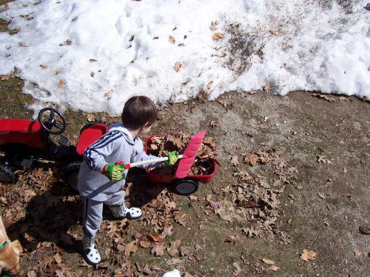 Scooping leaves in