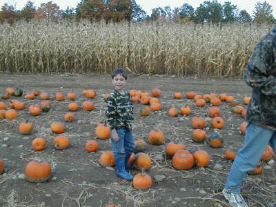 Can I use this face on my pumpkin?