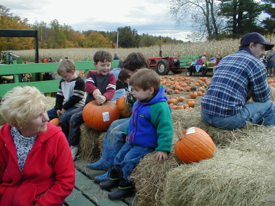 Comparing pumpkins