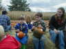 Pumpkins with pumpkins