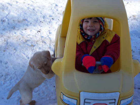 Sparky begs to go for a ride with Max